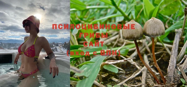 a pvp Осинники