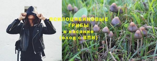 первитин Бутурлиновка